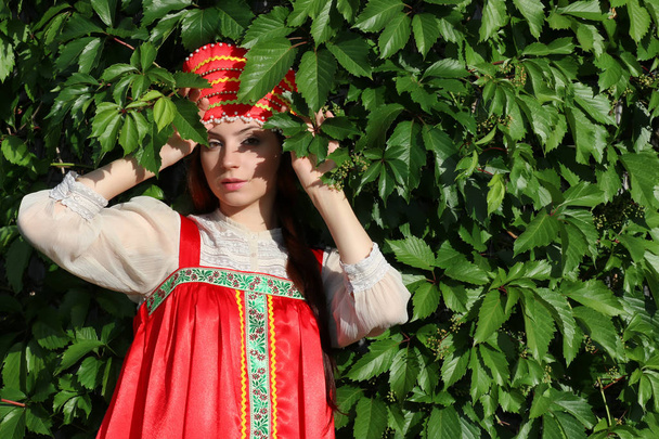 Geleneksel kıyafet sarmaşık duvar ağacında Slav - Fotoğraf, Görsel