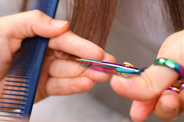 Close-up de um cabeleireiro cortando o cabelo de uma mulher em uma beleza
 - Foto, Imagem
