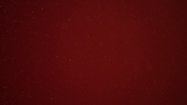 Movimiento lento de partículas realistas sobre fondo rojo
 - Metraje, vídeo