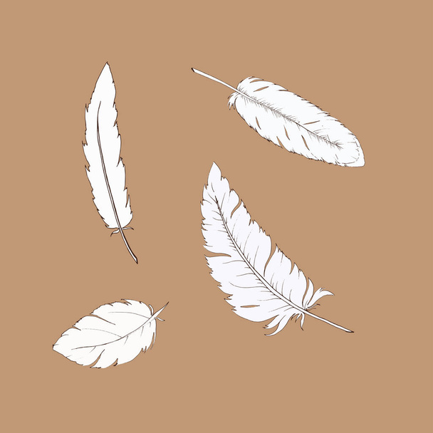 векторная иллюстрация дизайна перьев бесшовный узор на коричневом фоне
 - Вектор,изображение