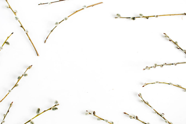 Frame of willow branches on white background. Flat lay, top view. - Photo, Image