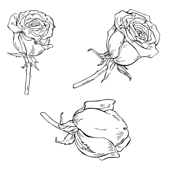 desenho de ilustração vetorial de flores padrão isolado no fundo branco
 - Vetor, Imagem