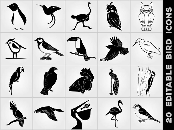 Zestaw ikon ptaków. Pingwin, ptak, Pelikan, Humming Bird, Sowa, Eagle, kogut, kogut, Tukan, strusia, Raven, bogatka, papuga, dzięcioł, Kaczka, Kakadu, Wróbel, Paw, Czapla i Flamingo ikony - Wektor, obraz