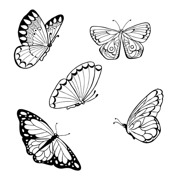 design de ilustração vetorial de borboletas sem costura fundo padrão
 - Vetor, Imagem