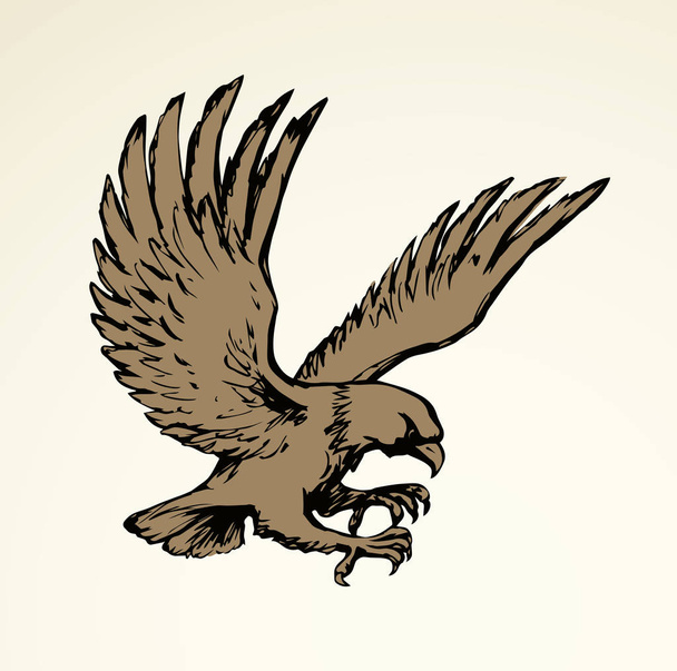 Águila. Dibujo vectorial
 - Vector, imagen