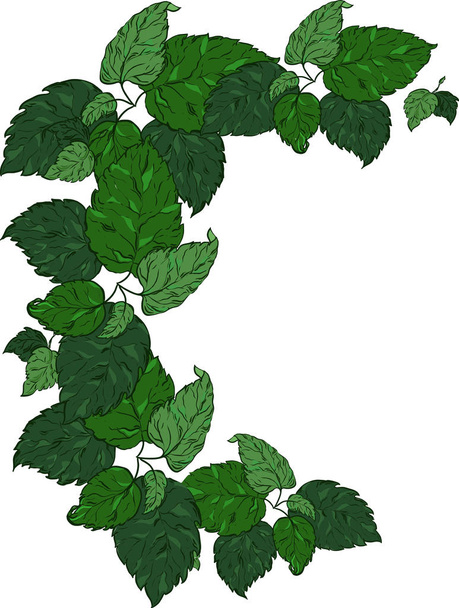 векторная иллюстрация дизайна красивой весенне-зеленой рамки фон
 - Вектор,изображение