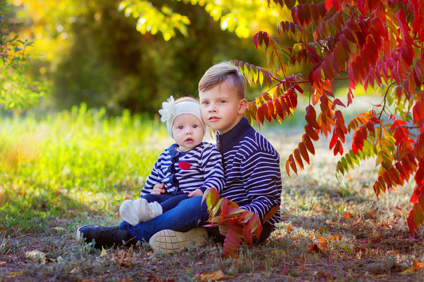 The boy with the little sister sit under a tree in the park - Foto, afbeelding