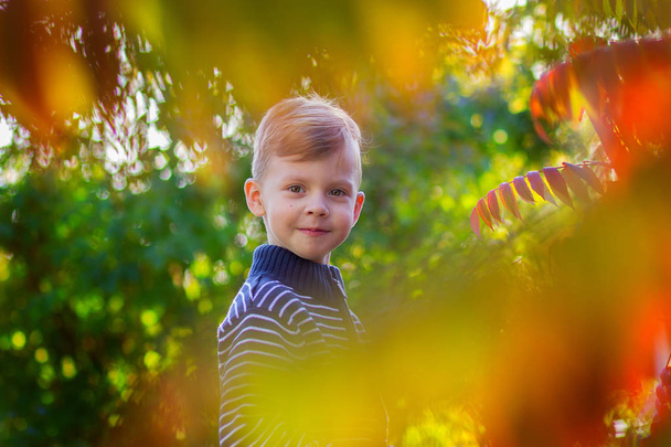 The boy in a striped jacket looks through tree leaves - Φωτογραφία, εικόνα