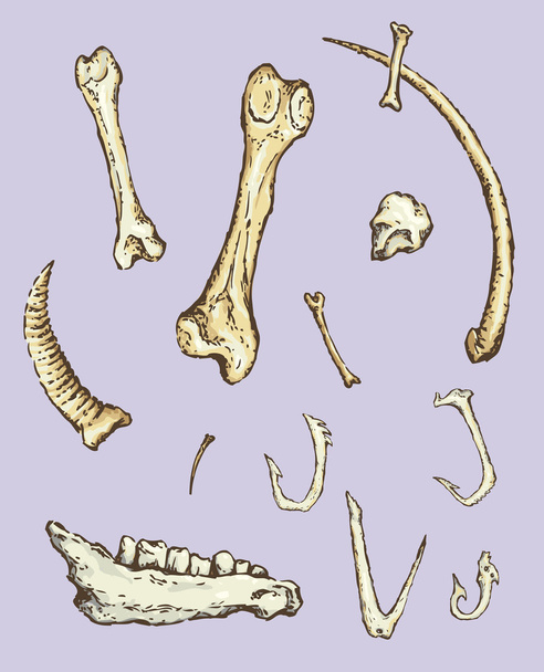 Série de ilustrações vetoriais de achados arqueológicos. Animais b
 - Vetor, Imagem