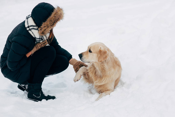 Image of labrador giving paw to girl in winter park - Foto, Bild