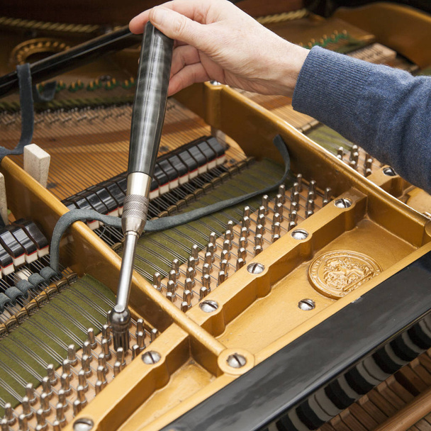 hand and tools of tuner working on grand piano - Photo, Image