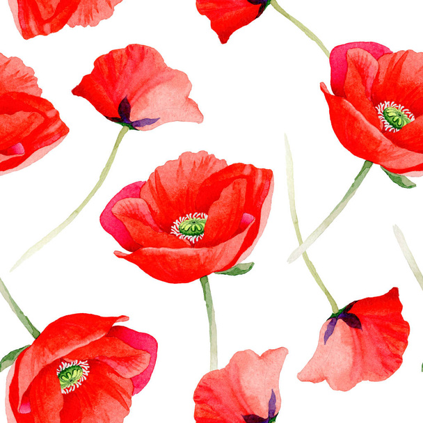 Wildflower poppy flower pattern in a watercolor style. - Photo, image