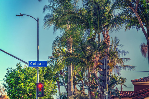 Palmen in der Colgate Avenue - Foto, Bild