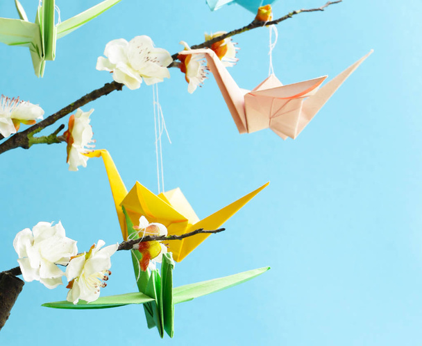guindastes de papel de origami um símbolo nos ramos de flores de cereja
 - Foto, Imagem