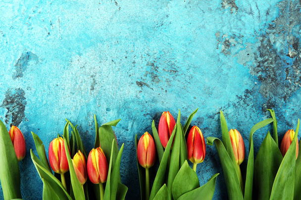 Impostazione festiva per Pasqua con bellissimi tulipani su sfondo blu
 - Foto, immagini