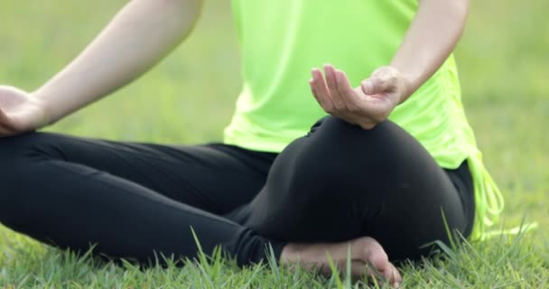 Young asian woman exercising in park on beautiful day. - Footage, Video