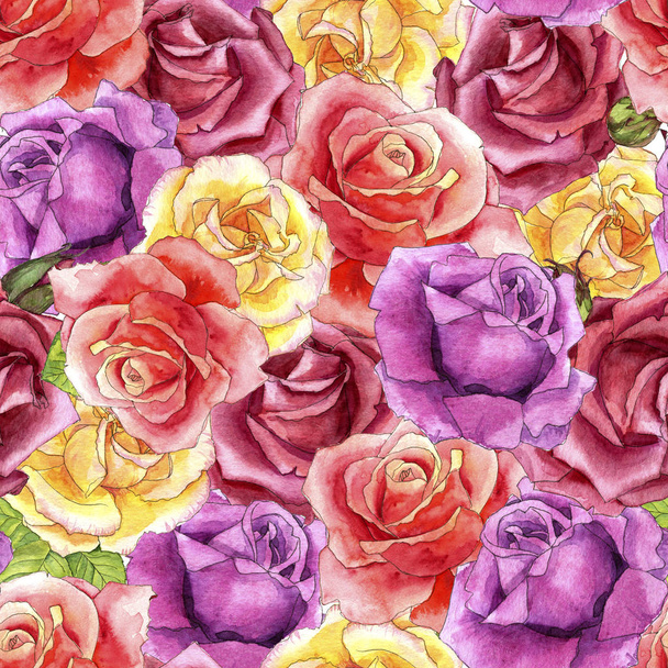 seamless pattern with watercolor drawing roses - Foto, immagini