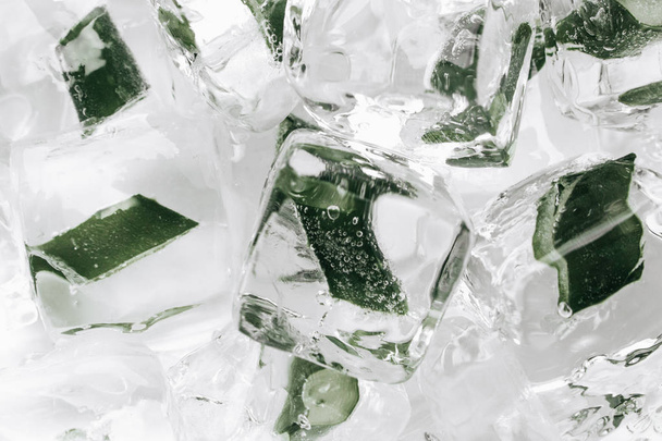 cubitos de hielo con aloe congelado en el interior, primer plano
  - Foto, Imagen