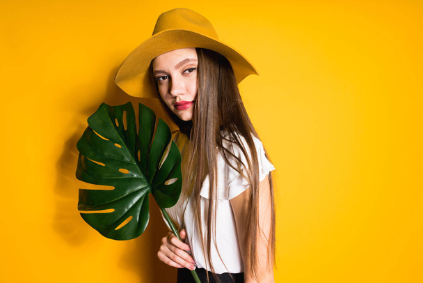 confident long-haired beautiful model girl in big hat holds green leaf and posing on yellow background - Foto, Bild