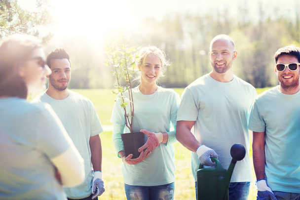 group of volunteers with tree seedling in park - Фото, изображение