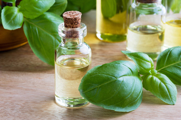 A bottle of basil essential oil with fresh basil leaves - Fotoğraf, Görsel