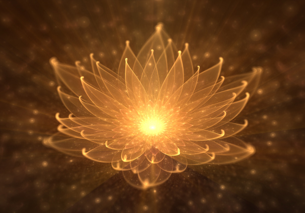 Lys d'eau, Lotus orange rayonnant avec rayons de lumière
 - Photo, image