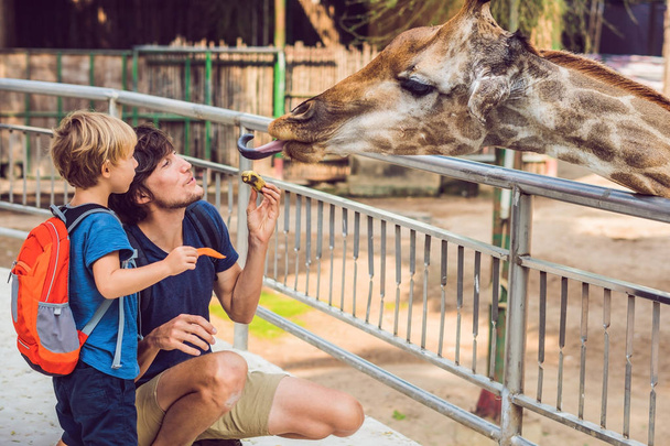 Father and son watching and feeding giraffe in zoo. Happy kid having fun with animals safari park on warm summer day. - Φωτογραφία, εικόνα