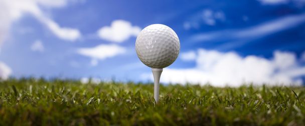 Golf ball on green meadow - Photo, Image