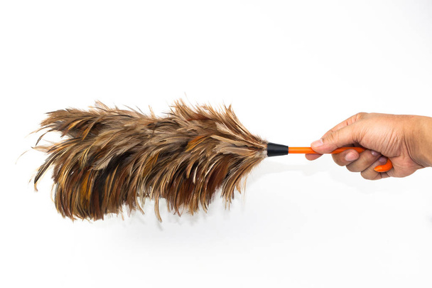 Hand holding Feather broom isolated - 写真・画像