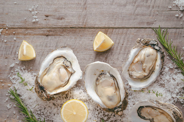 Dozen fresh oysters on a sea salt and lemon. Top view - Foto, Imagen