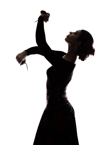 silhouette of spanish girl flamenco dancer on a light background - Foto, afbeelding