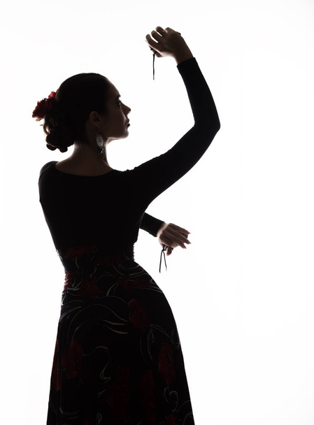 silhouette of spanish girl flamenco dancer on a light background - Фото, зображення
