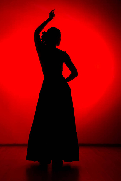 silhouette of spanish girl flamenco dancer on a red background - Fotoğraf, Görsel