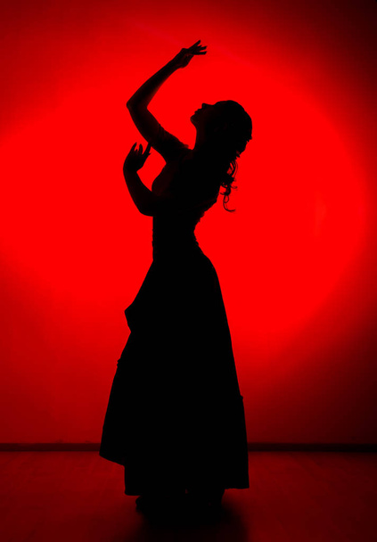 silhouette of spanish girl flamenco dancer on a red background - Фото, изображение