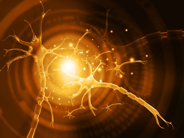 3D obrázek lidského neuronu - Fotografie, Obrázek
