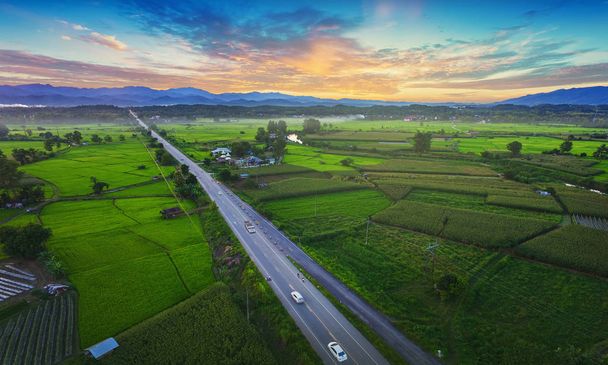 Top view of green field for background, aerial beautiful landscape photos view from above, and road cars moving in the green fields in countryside
. - Фото, изображение