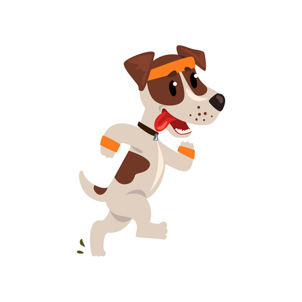 Aranyos jack russell terrier sportoló fut, amivel a nyelv, a vicces sportos kisállat kutya karakter, sportot vektoros illusztráció egy fehér háttér - Vektor, kép