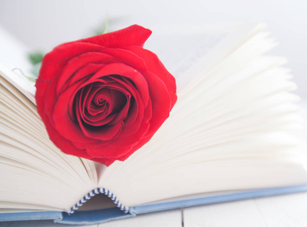 Rose and Book romance love  - Photo, Image