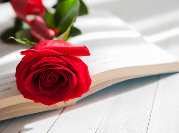 Ruusu ja kirja romantiikkaa rakkaus
  - Valokuva, kuva