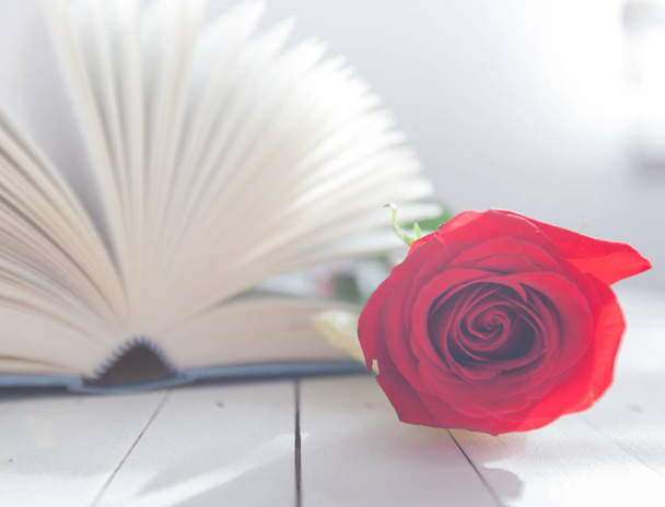 Rose és a könyv romantikus szerelem  - Fotó, kép
