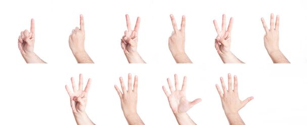 Set of hands gesturing numbers, on white background. - Photo, Image