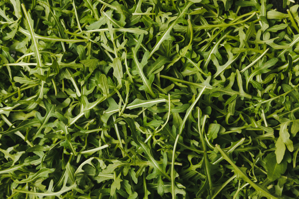 top view of green ripe arugula leaves  - Photo, Image