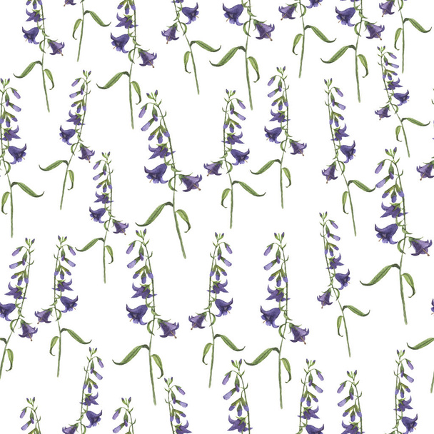 beautiful illustration of wild purple bellflowers seamless pattern on white background - Φωτογραφία, εικόνα