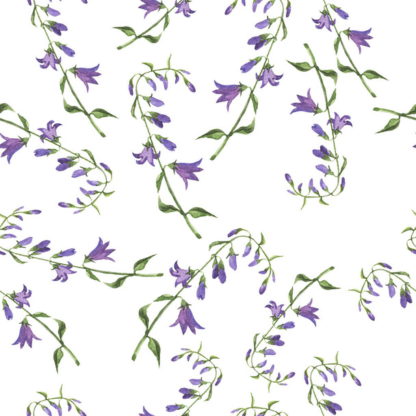 beautiful illustration of wild purple bellflowers seamless pattern on white background - Zdjęcie, obraz