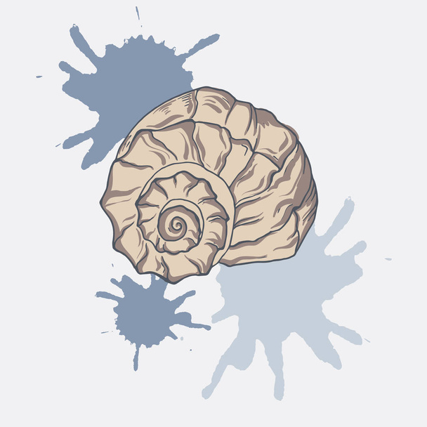 vector illustration design of beautiful seashell pattern  with blue paint splashes on background - Vektör, Görsel