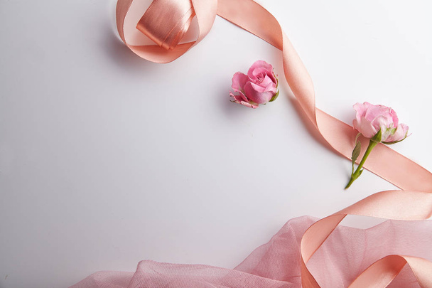 fresh shrub roses with transparent pink fabric and peach colored ribbon isolated on white background, spring concept  - 写真・画像