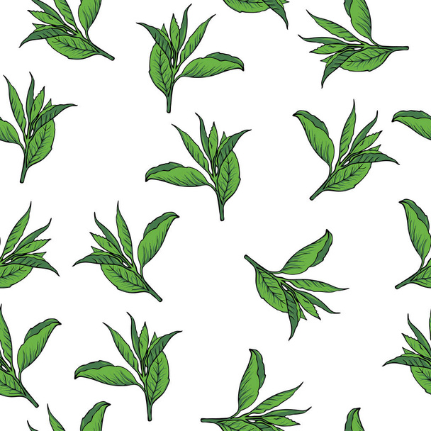 vector illustration of green leaves seamless pattern on white background   - Vektor, obrázek
