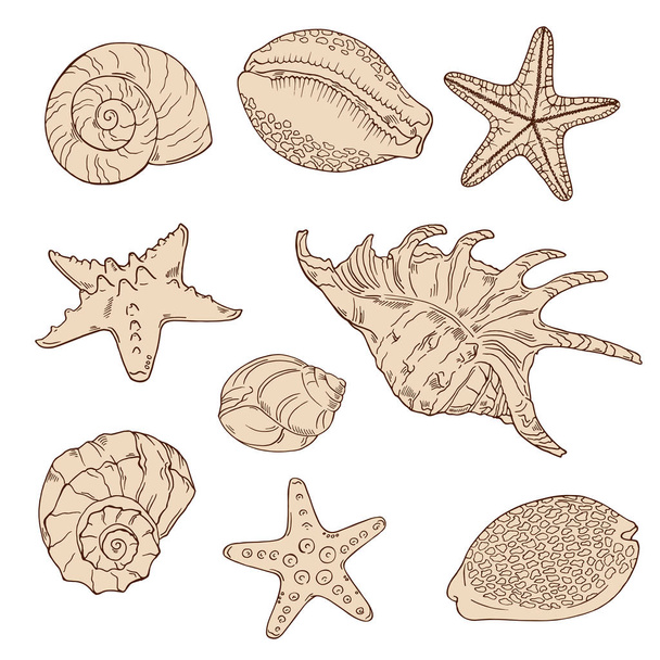 vector illustration design of beautiful seashells seamless pattern background - Wektor, obraz