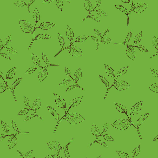 vector illustration design of beautiful spring foliage seamless pattern background - Vector, Imagen