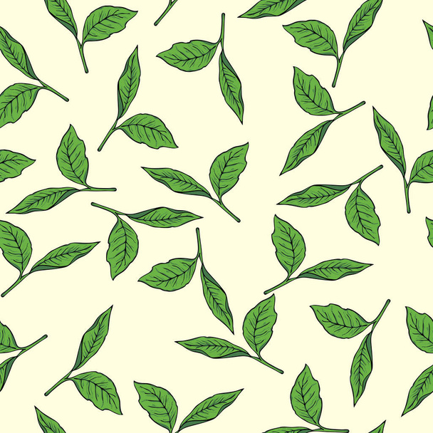 vector illustration of beautiful green tea leaves seamless pattern background  - Vektor, Bild